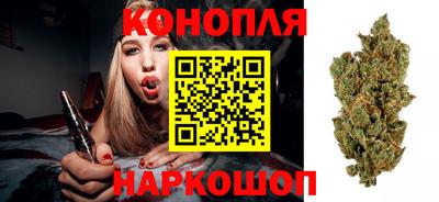 гидропоника Изобильный
