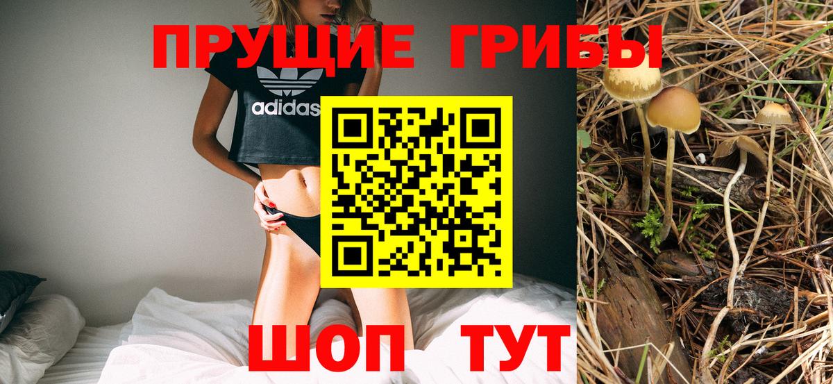 Котельники  Псилоцибиновые грибы ЛСД  даркнет сайт  Вход с VPN 
