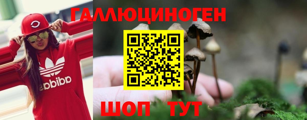 Галлюциногенные грибы прущие грибы Котельники